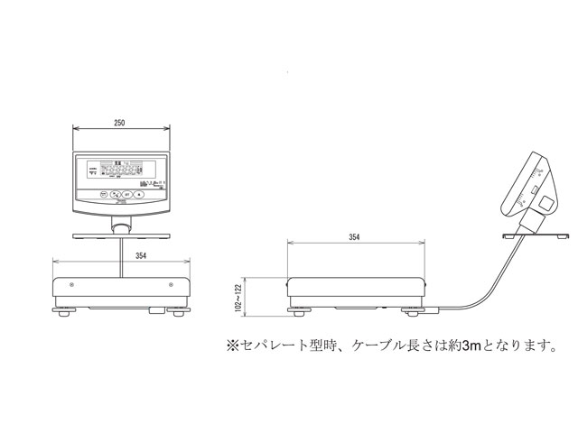 ¥Ç¥¸¥¿¥ëÂνŷס¡DP-7200S¥»¥Ñ¥ì¡¼¥È·¿