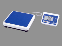 �ǥ������νŷס�WP-110S���ѥ졼�ȷ�
