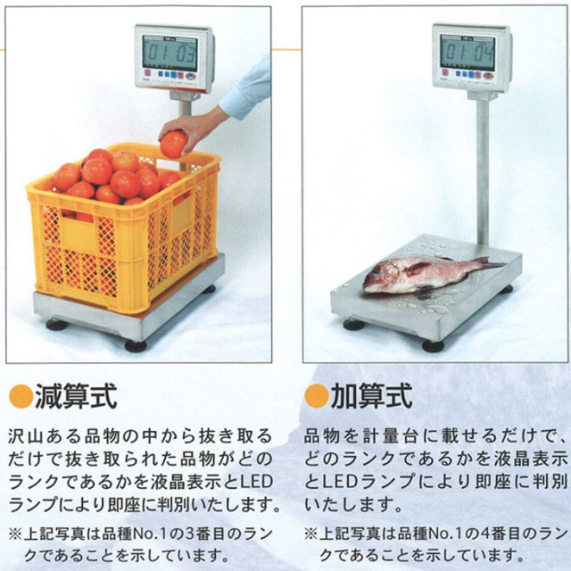 多機能型デジタル台はかり 2000kg DP-5604（特大型W料金はかりタイプ